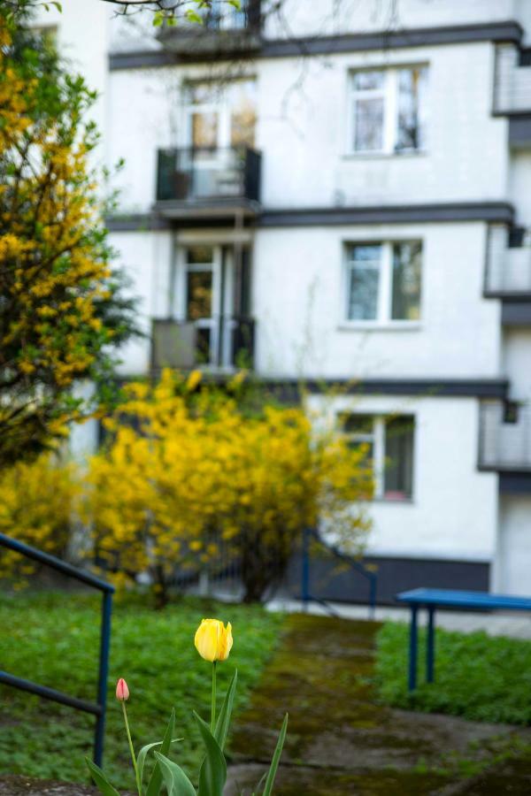 Amazing Apartment, City Centre, Modern, Elegant, Cozy Kraków Exteriör bild